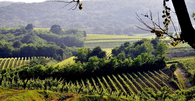 Collio-Brda; club UNESCO Udine; Udine; Collio; Brda; Dolenga del Collio; Dobrovo