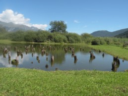 siti palafitticoli; Palù; Palù di Livenza; club UNESCO Udine;